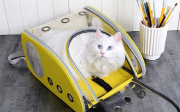 Top 7 túi vận chuyển chó mèo được ưa chuộng nhất 2022